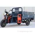 Tricycle de cargaison électrique 60 V pour les ventes
